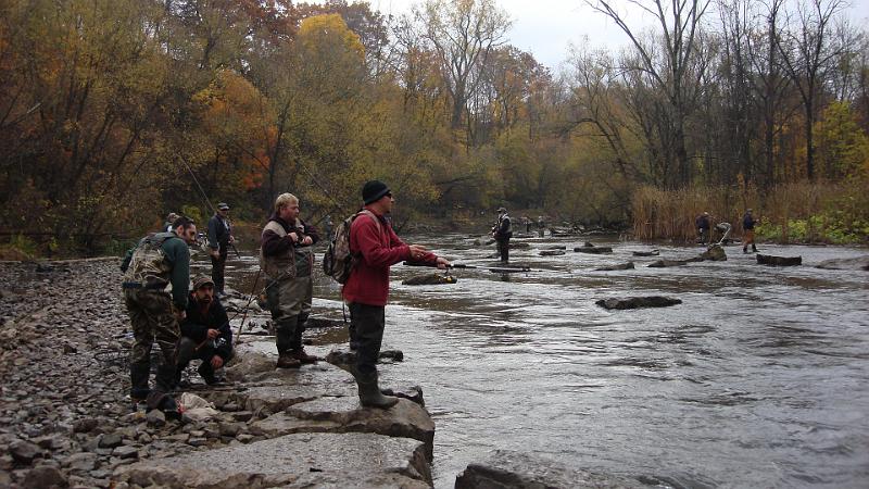 Rock monkeys at Burt.JPG